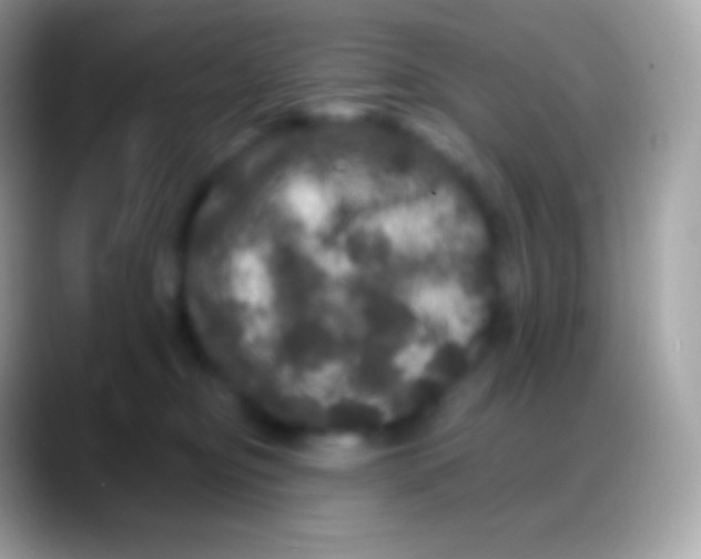 X0000088140374200706041341