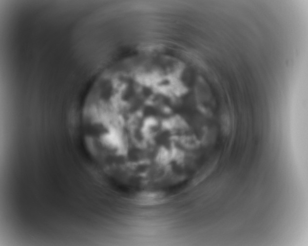 X0000088140375200706041341