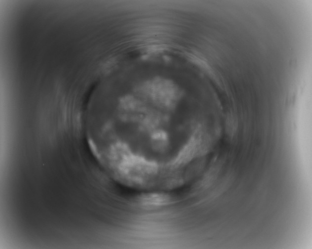 X0000088140378200706041341