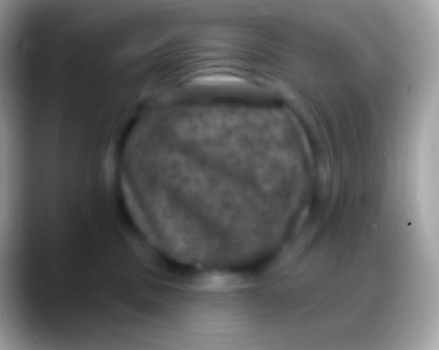 X0000088140379200706041341