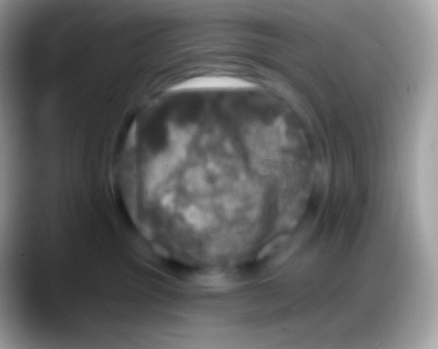 X0000088140381200706041341