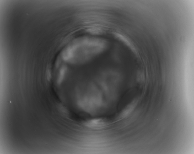 X0000088140382200706041341