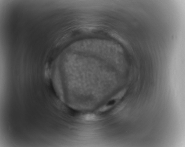 X0000088140384200706041341