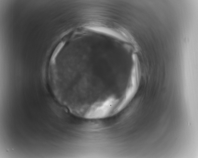 X0000088140386200706041341