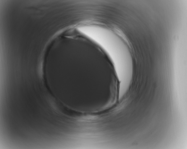 X0000088140387200706041341