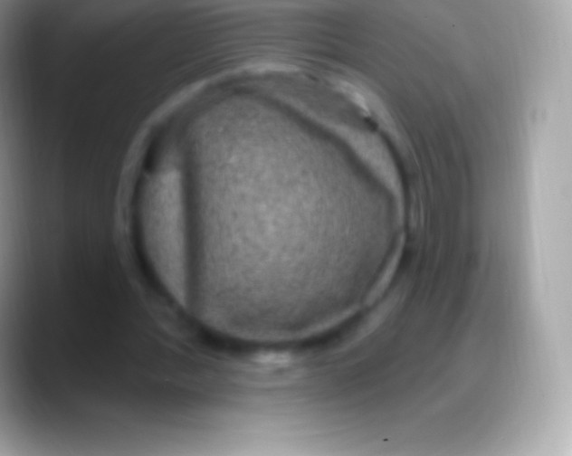 X0000088140388200706041341