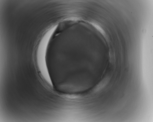 X0000088140389200706041341