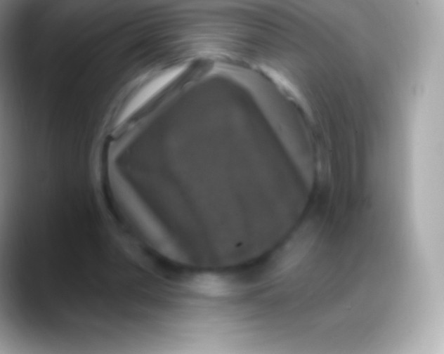 X0000088140390200706041341