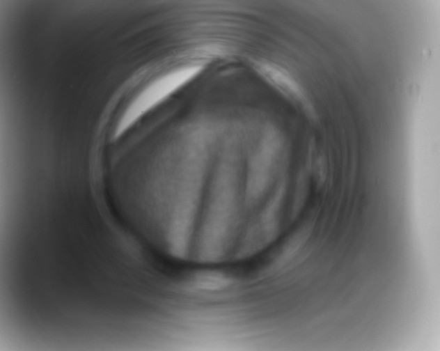 X0000088140392200706041341