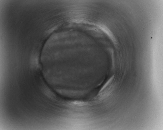 X0000088140393200706041341