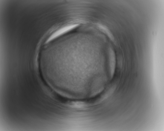 X0000088140395200706041341