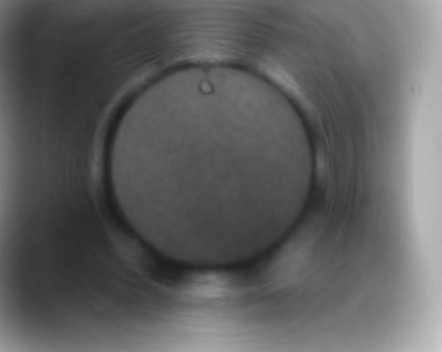 X0000088140396200706041341