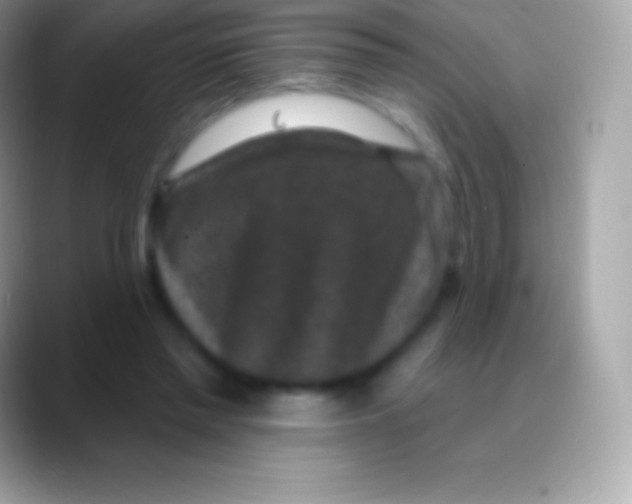 X0000088140397200706041341