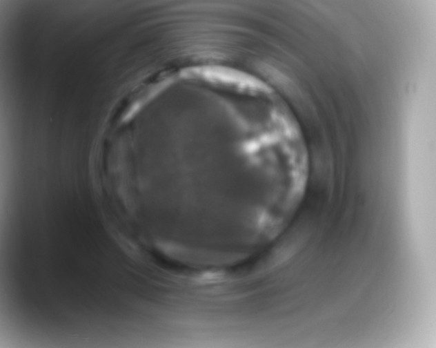 X0000088140398200706041341