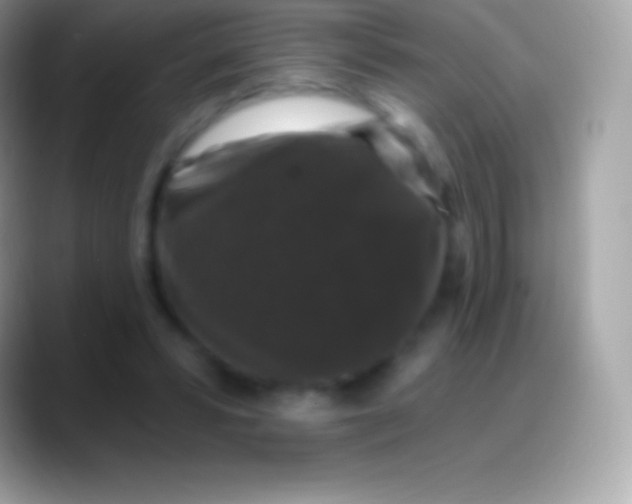 X0000088140399200706041341