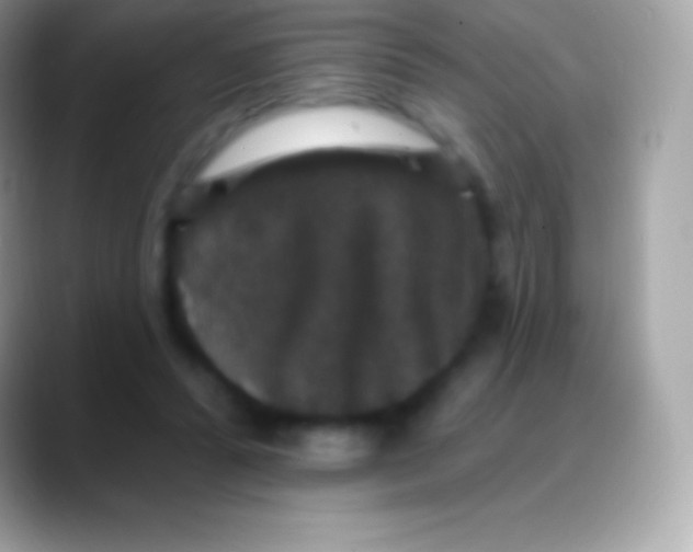 X0000088140400200706041341