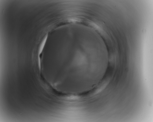 X0000088140402200706041340