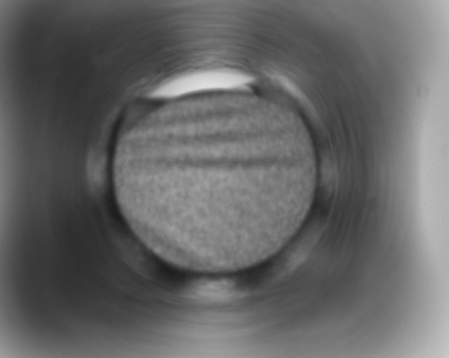 X0000088140403200706041340