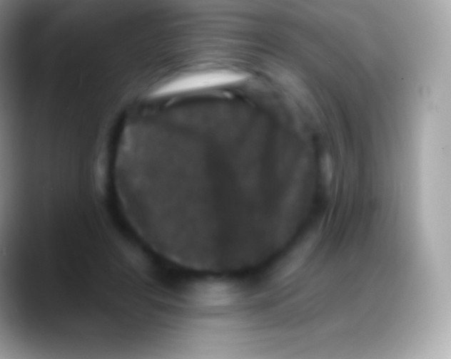 X0000088140404200706041340