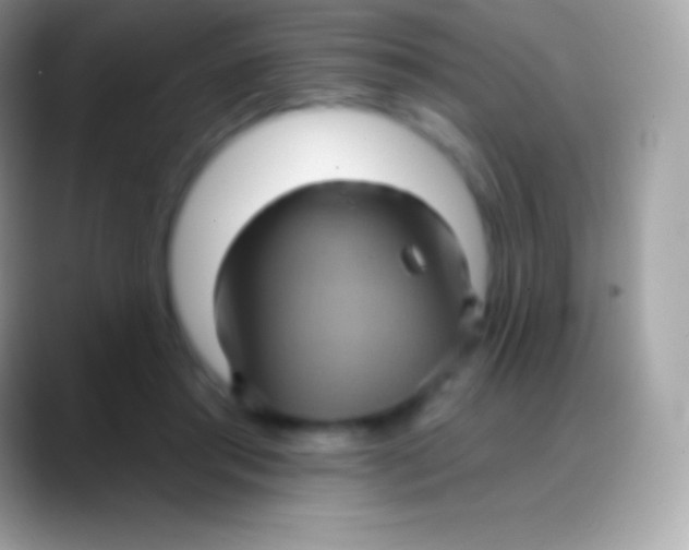 X0000088140405200706041340