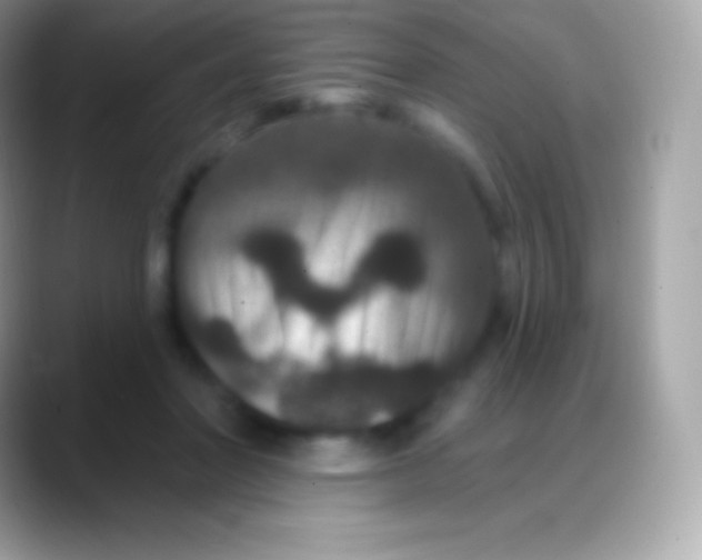 X0000088140406200706041340