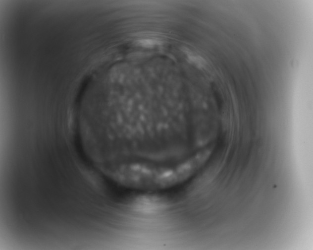 X0000088140408200706041340