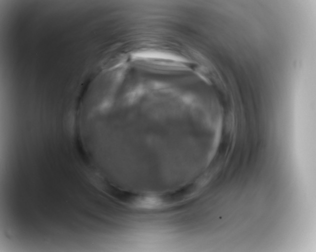 X0000088140409200706041340