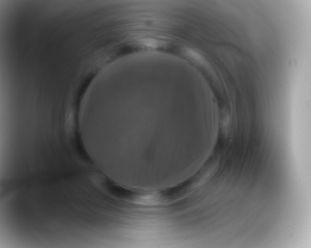 X0000088140410200706041340