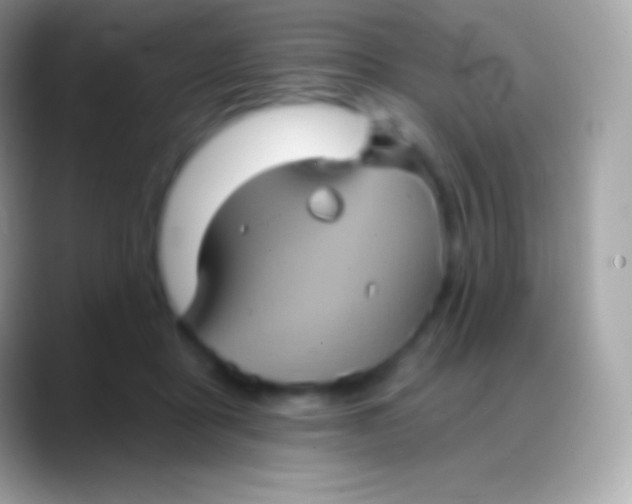 X0000088140411200706041340