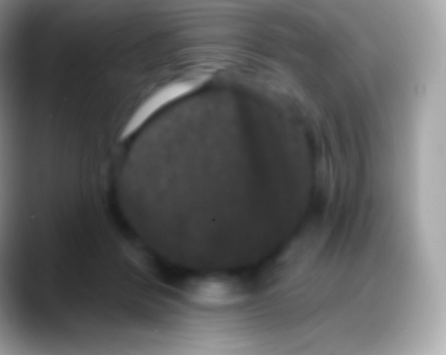 X0000088140412200706041340