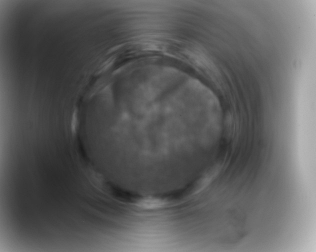 X0000088140413200706041340