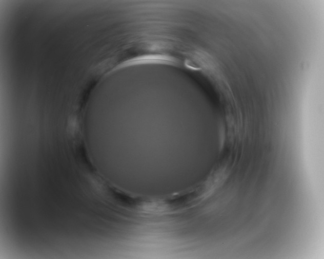 X0000088140415200706041340