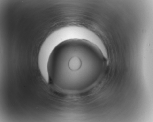 X0000088140417200706041340