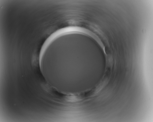 X0000088140419200706041340