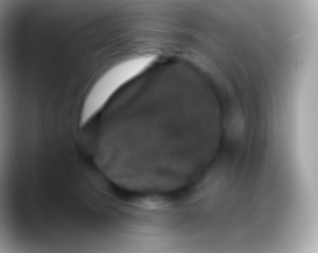 X0000088140420200706041340