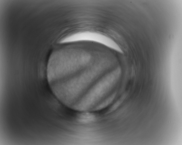 X0000088140421200706041340