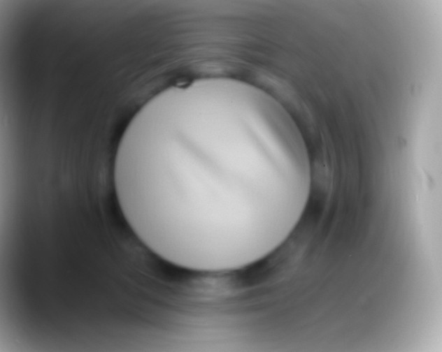 X0000088140422200706041340