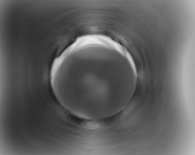 X0000088140423200706041340