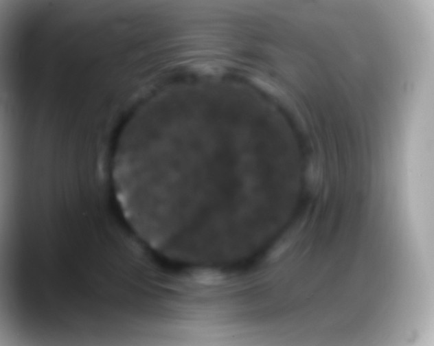 X0000088140424200706041340