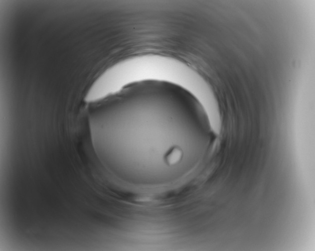 X0000088140425200706041340