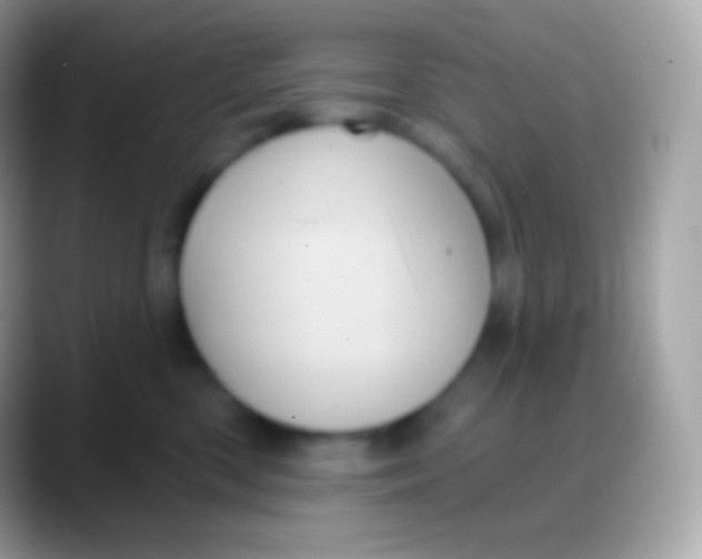 X0000088140426200706041340