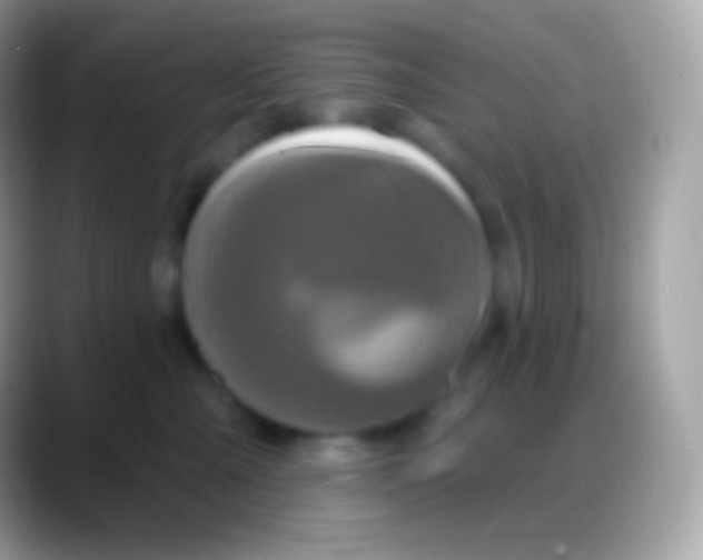 X0000088140427200706041340