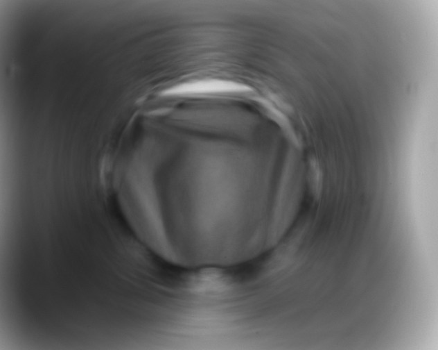 X0000088140428200706041340