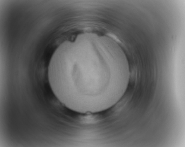 X0000088140430200706041340