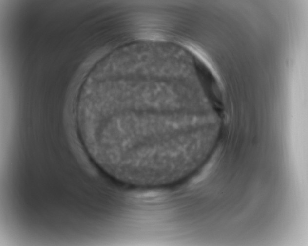 X0000088140433200706041340