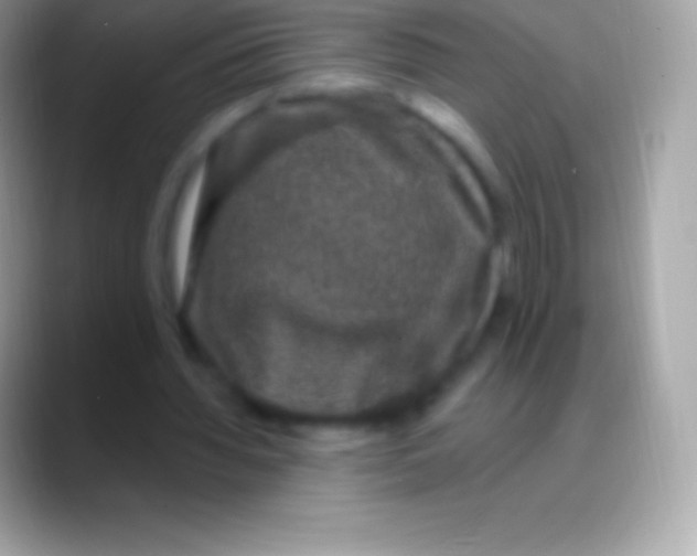 X0000088140436200706041340