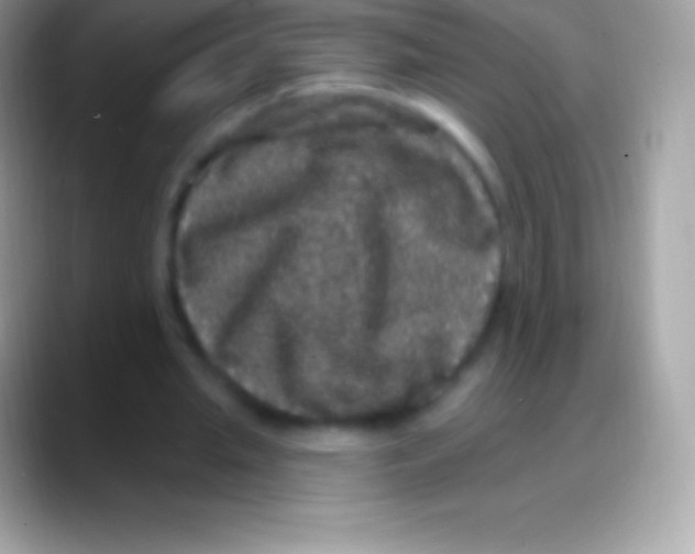 X0000088140437200706041340