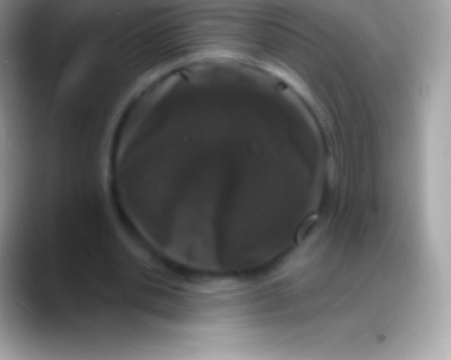 X0000088140438200706041340