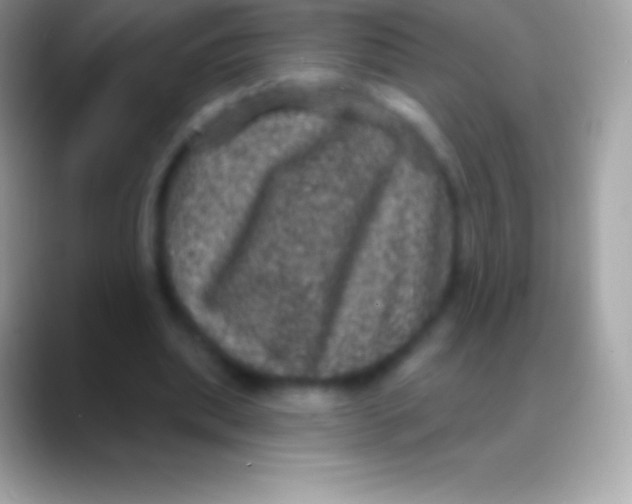 X0000088140439200706041340