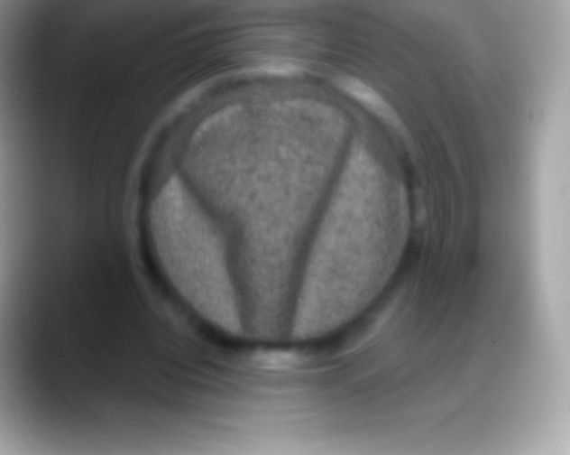 X0000088140440200706041340